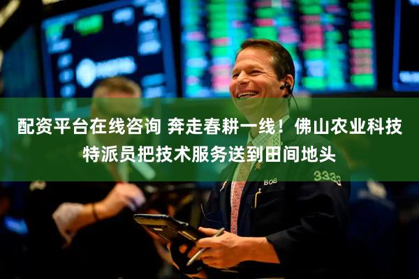 配资平台在线咨询 奔走春耕一线！佛山农业科技特派员把技术服务送到田间地头